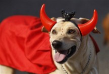 C_2_fotogallery_1008201__ImageGallery__imageGalleryItem_8_image1