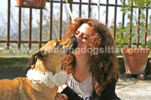 Immagine 1