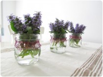 fiori_di_campo